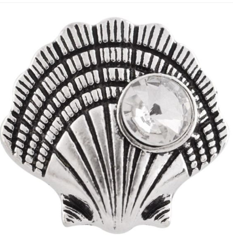 20mm Scallop in Shell Snap Chunk
