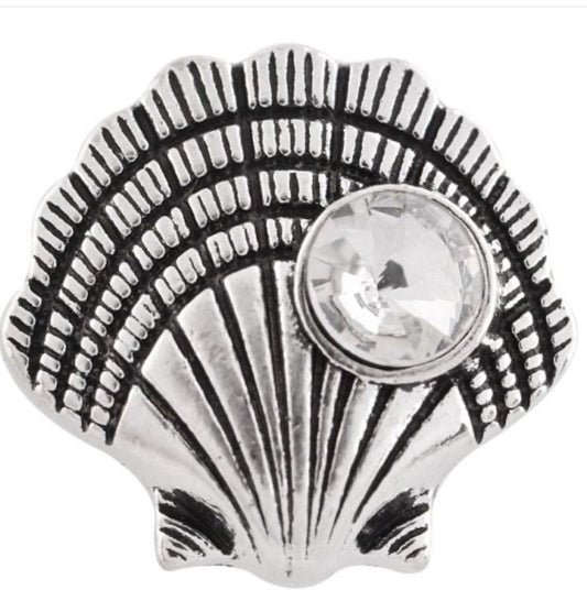 20mm Scallop in Shell Snap Chunk