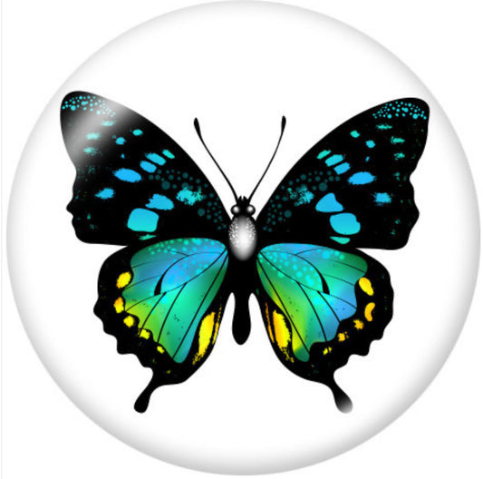 20mm Butterfly Print Glass Look Snap Chunk